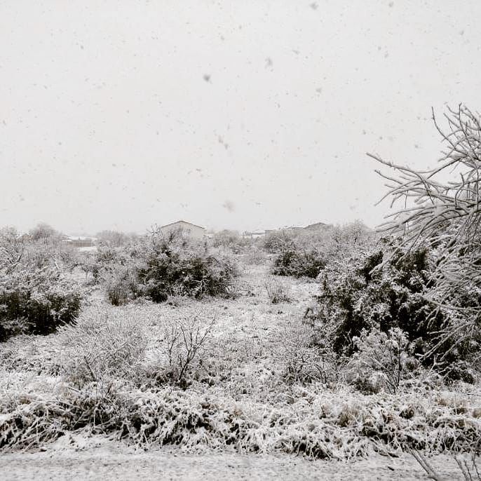 Snow in Tucson